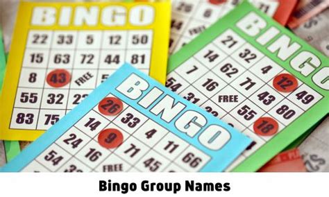 850+ Cool Bingo Name Ideas for your Group or team to play the .